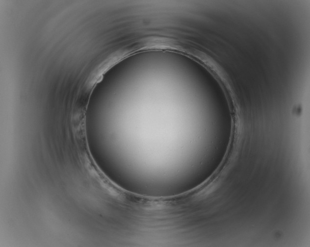 X0000113321385200909211145