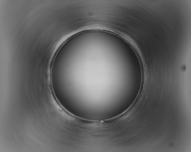 X0000113321388200909211145