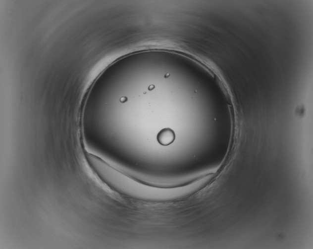 X0000113321389200909211145