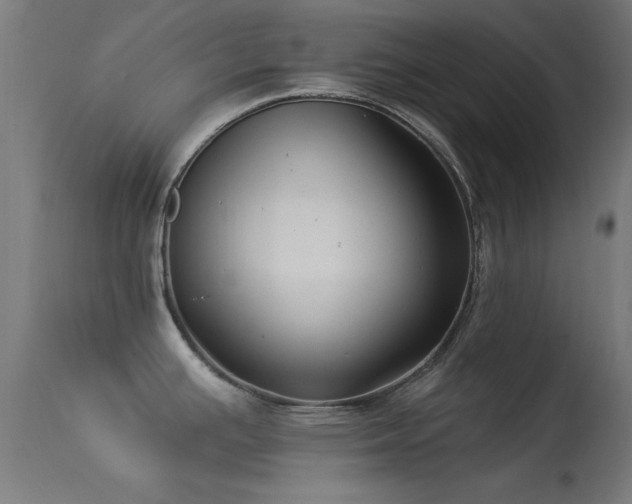 X0000113321391200909211145