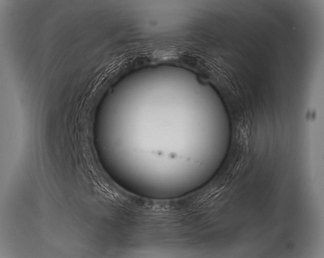 X0000113321393200909211144