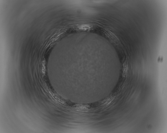 X0000113321394200909211144