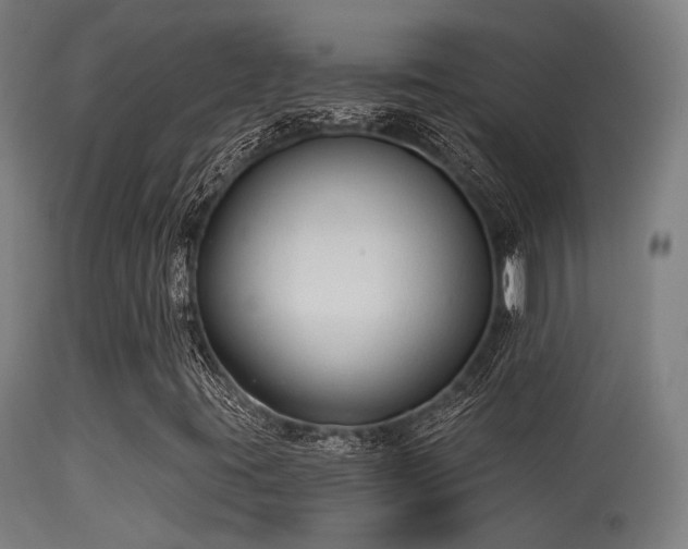 X0000113321395200909211144