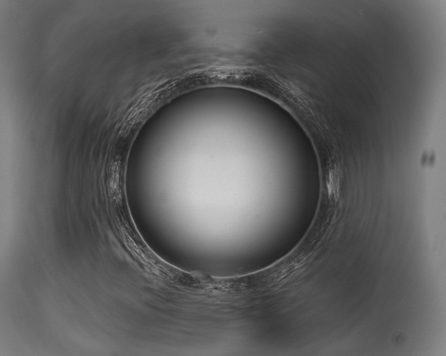 X0000113321396200909211144