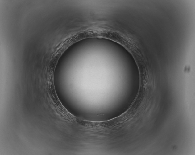 X0000113321397200909211144