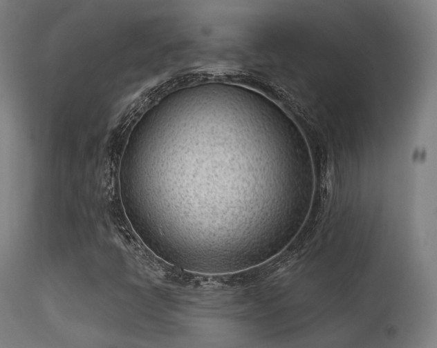 X0000113321398200909211144