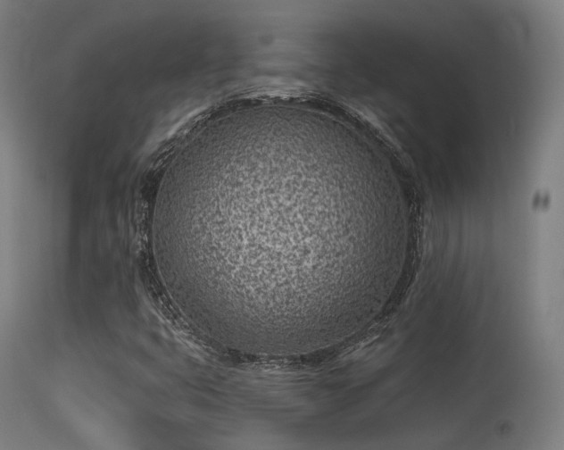 X0000113321399200909211144