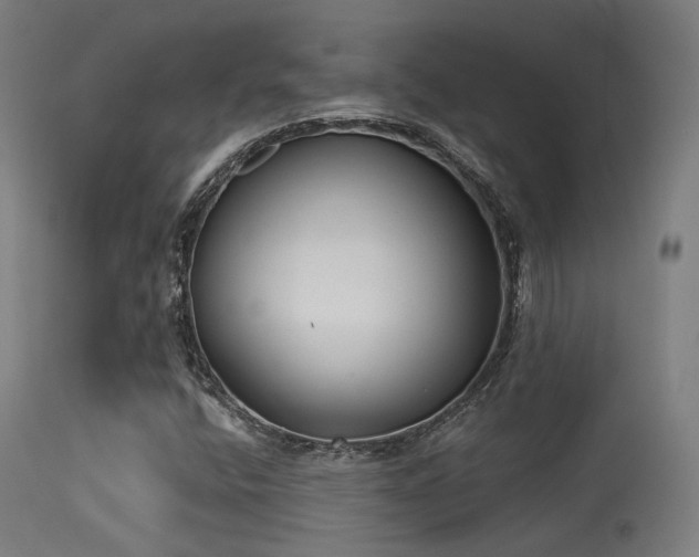 X0000113321400200909211144