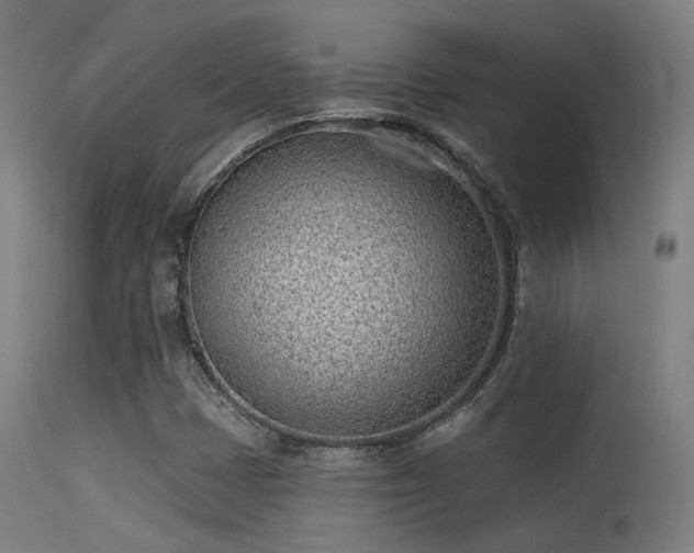 X0000113321401200909211144