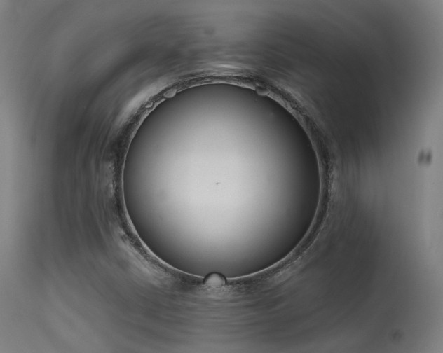 X0000113321402200909211144