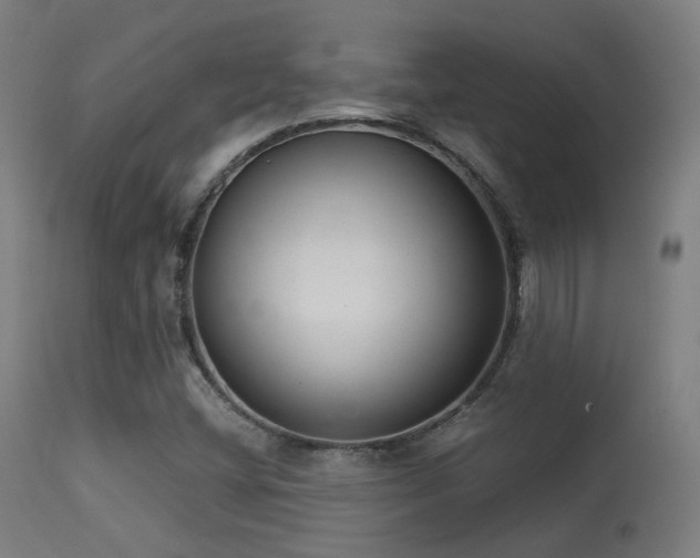 X0000113321404200909211144