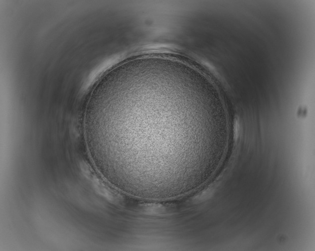 X0000113321405200909211144