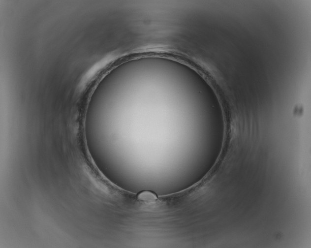 X0000113321406200909211144