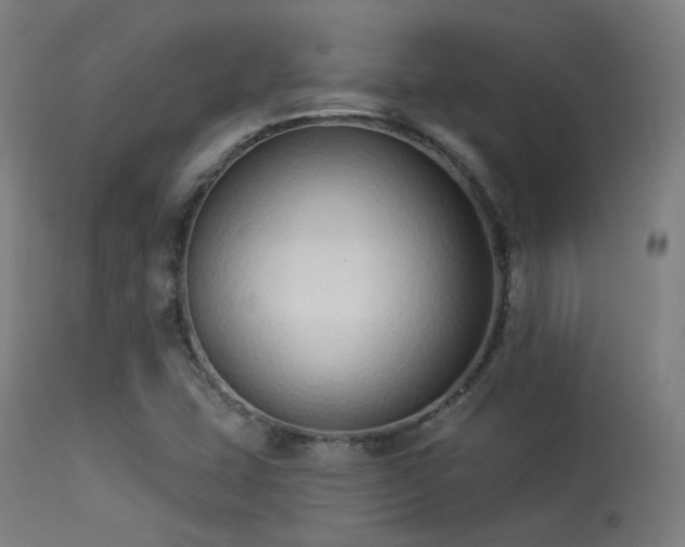 X0000113321407200909211144