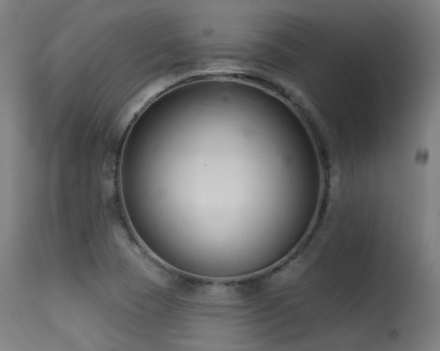 X0000113321409200909211144