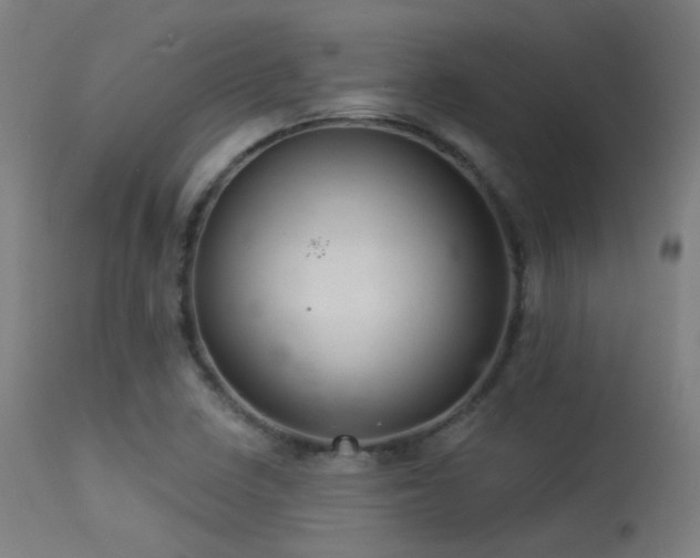 X0000113321410200909211144