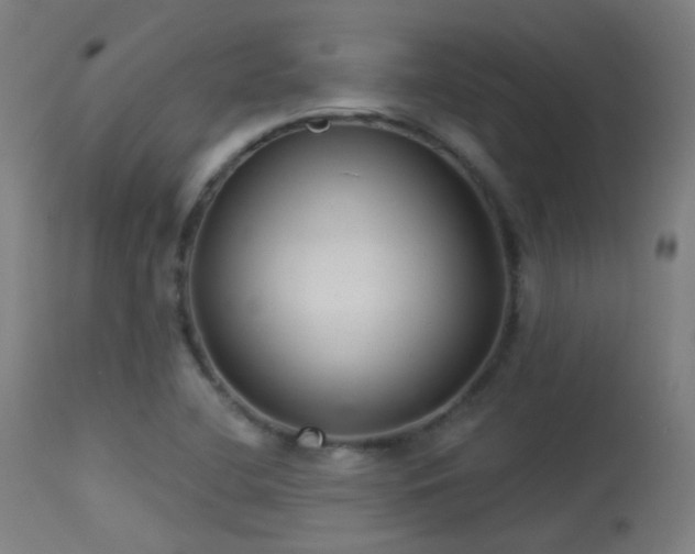 X0000113321412200909211144