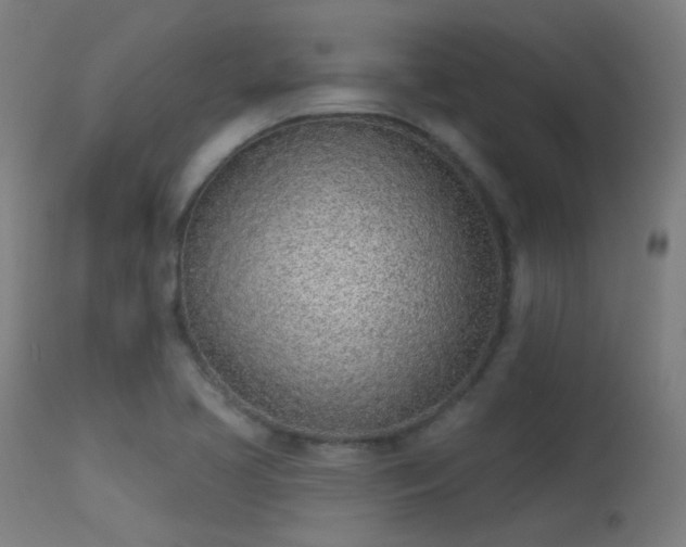 X0000113321413200909211144