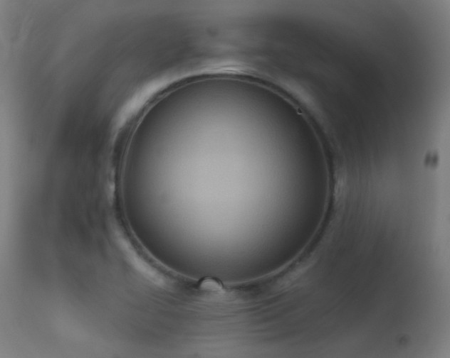 X0000113321414200909211144