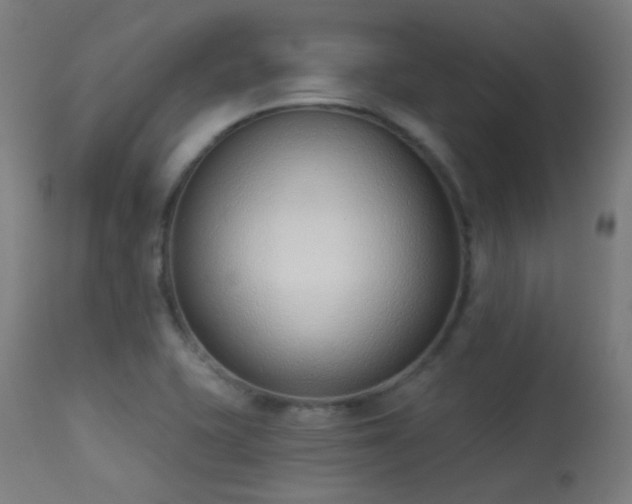 X0000113321415200909211144