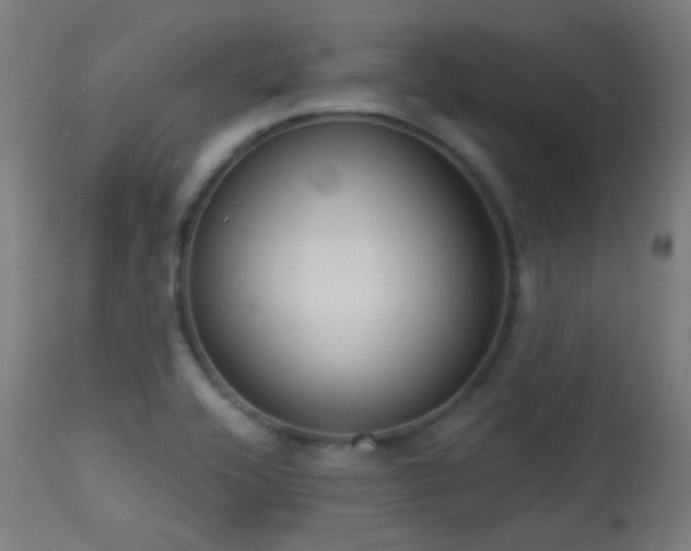 X0000113321416200909211144