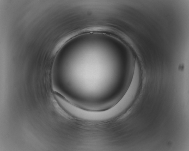 X0000113321417200909211144