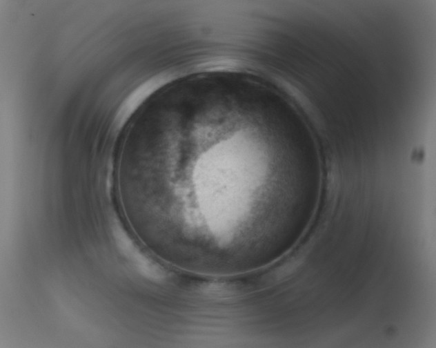 X0000113321418200909211144