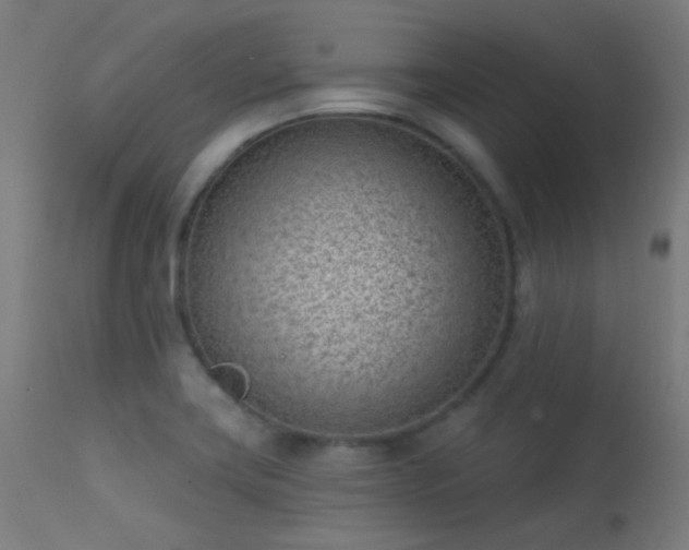 X0000113321419200909211144