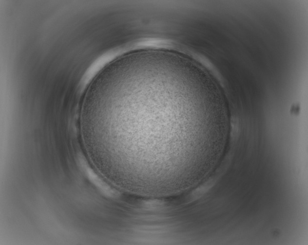 X0000113321421200909211144