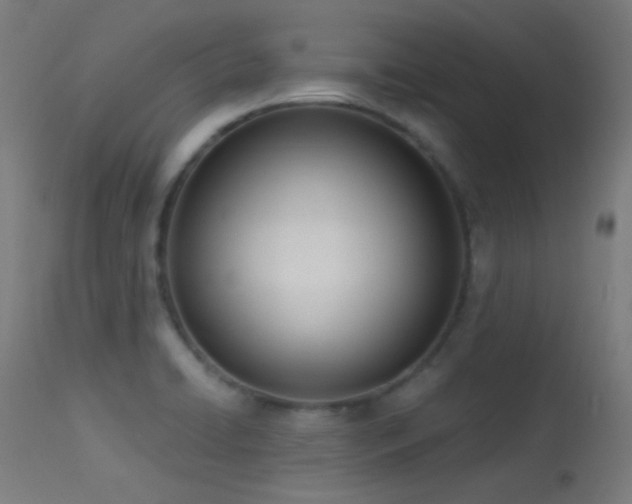 X0000113321422200909211144