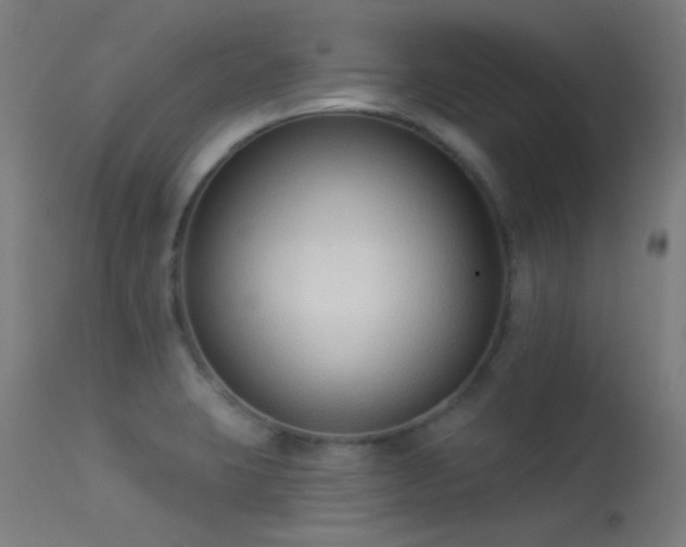 X0000113321423200909211144