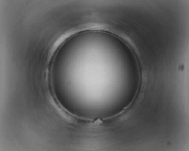 X0000113321424200909211144