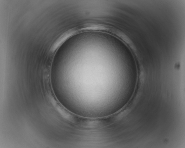 X0000113321425200909211144