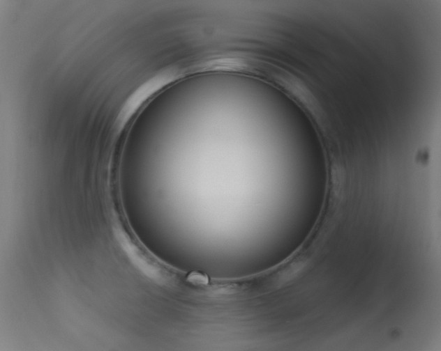 X0000113321426200909211144