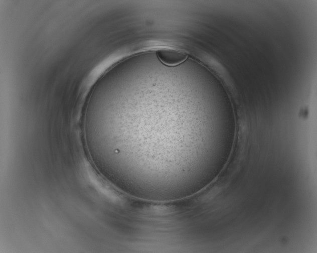 X0000113321427200909211144