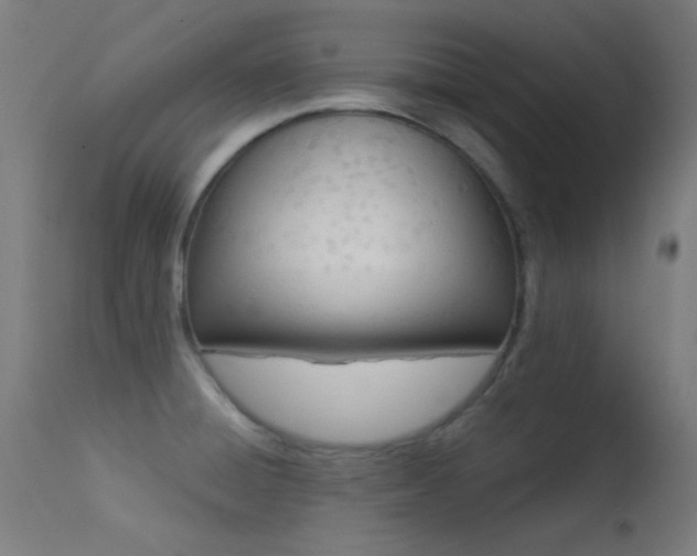 X0000113321428200909211144