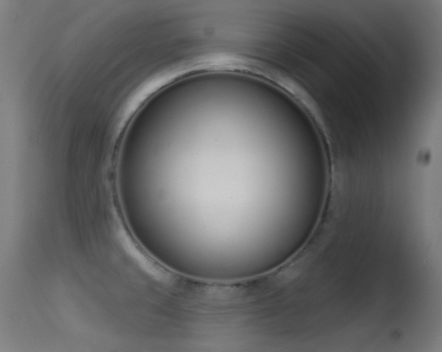 X0000113321429200909211144