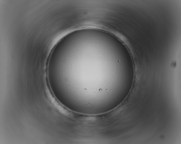 X0000113321431200909211144