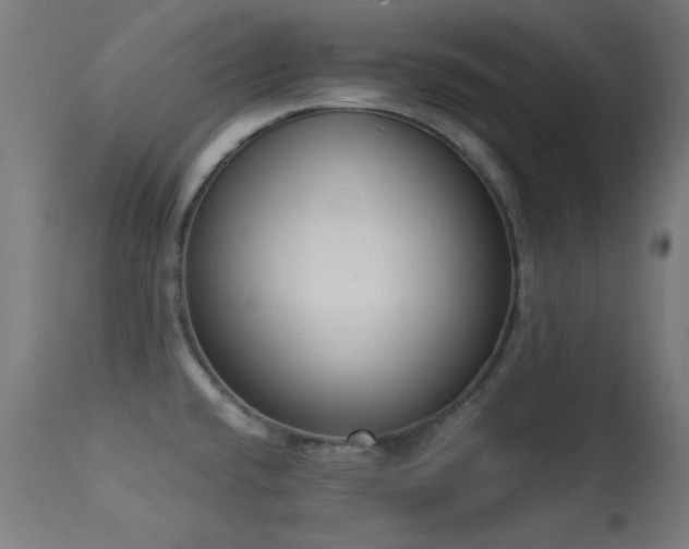 X0000113321432200909211144