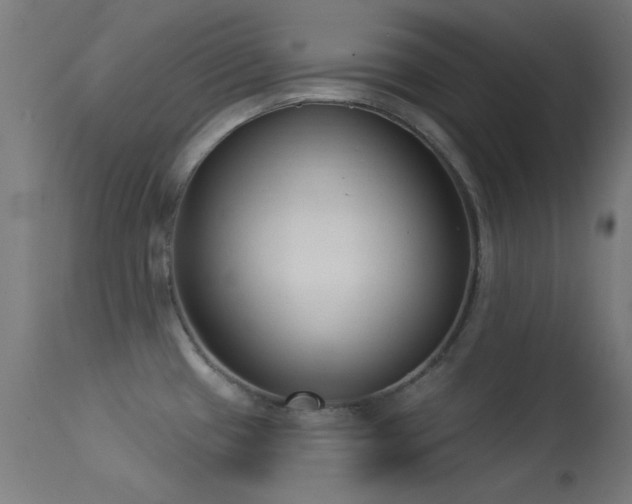 X0000113321433200909211144