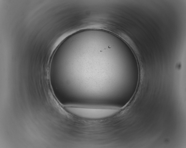 X0000113321436200909211145