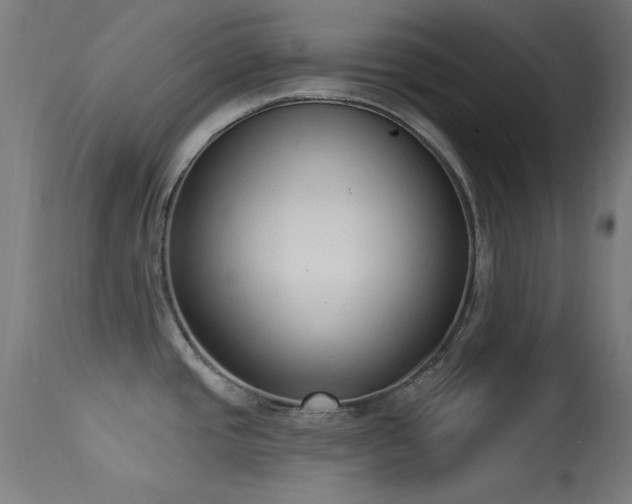 X0000113321437200909211145