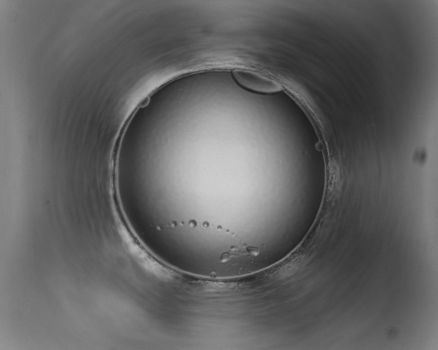 X0000113321439200909211145