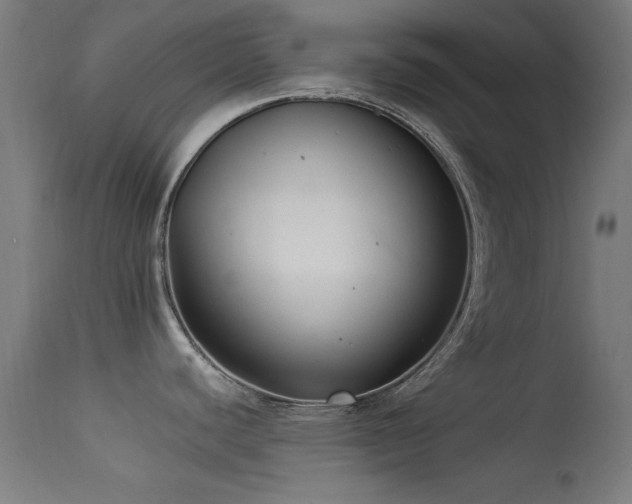 X0000113321440200909211145