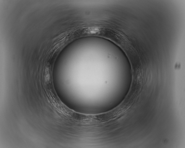 X0000113321442200909211144