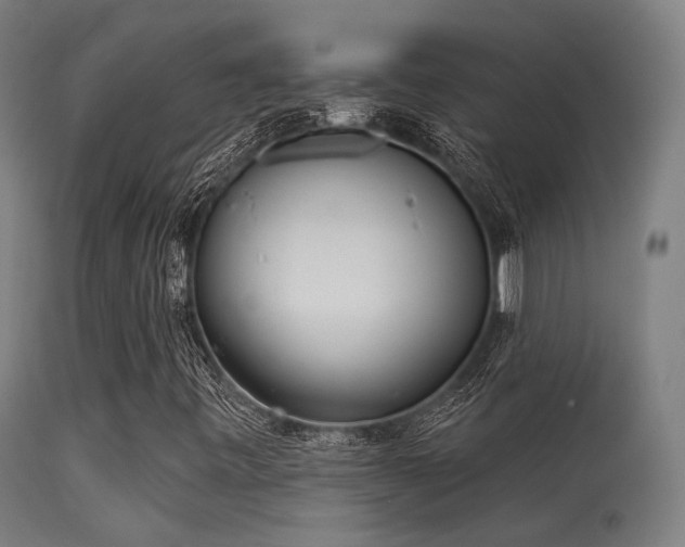 X0000113321443200909211144