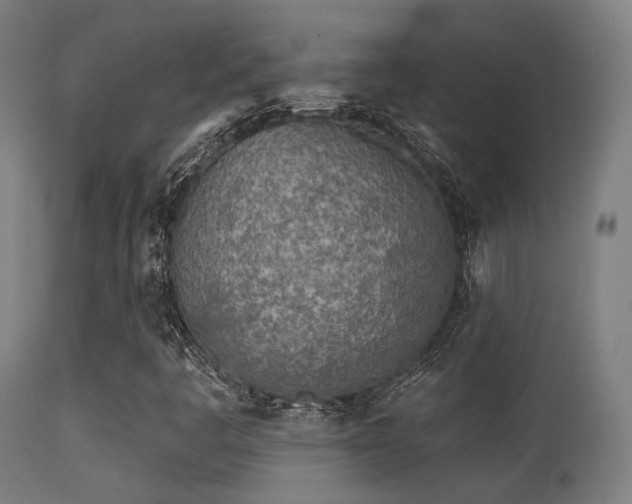 X0000113321445200909211144