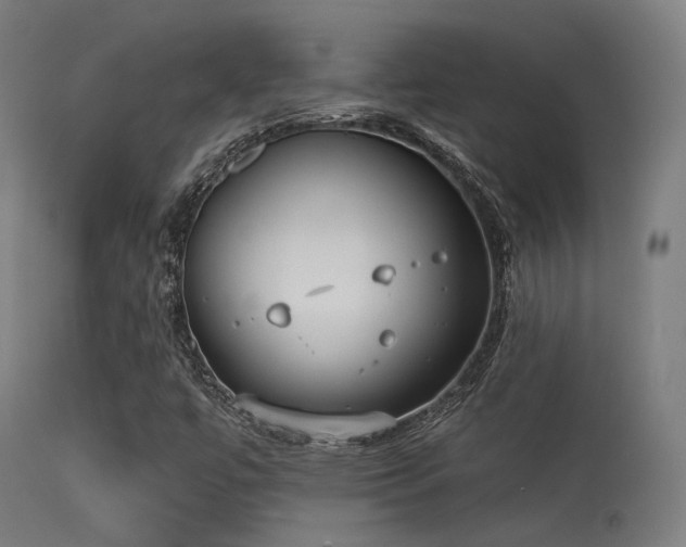 X0000113321447200909211144