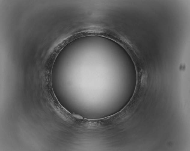 X0000113321448200909211144