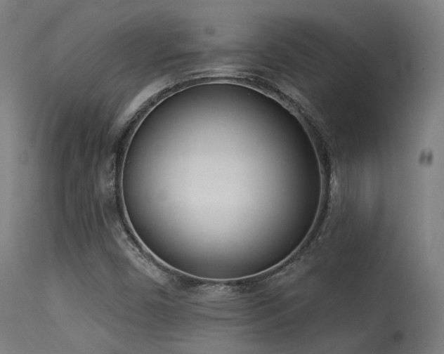 X0000113321450200909211144